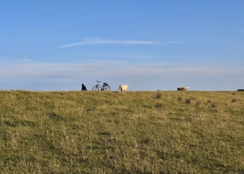 am-deich-rund-um-den-jadebusen